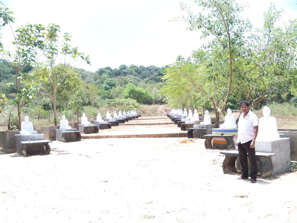 twenty eight buddha statues