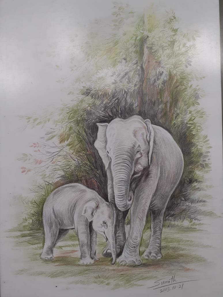 tuskers