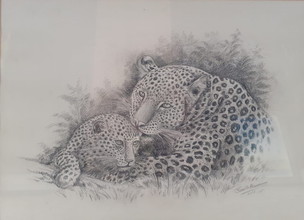 leopards